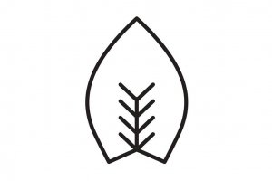 FUERST WIACEK logo
