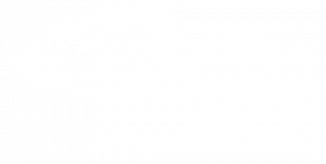 Veil Brewing logo