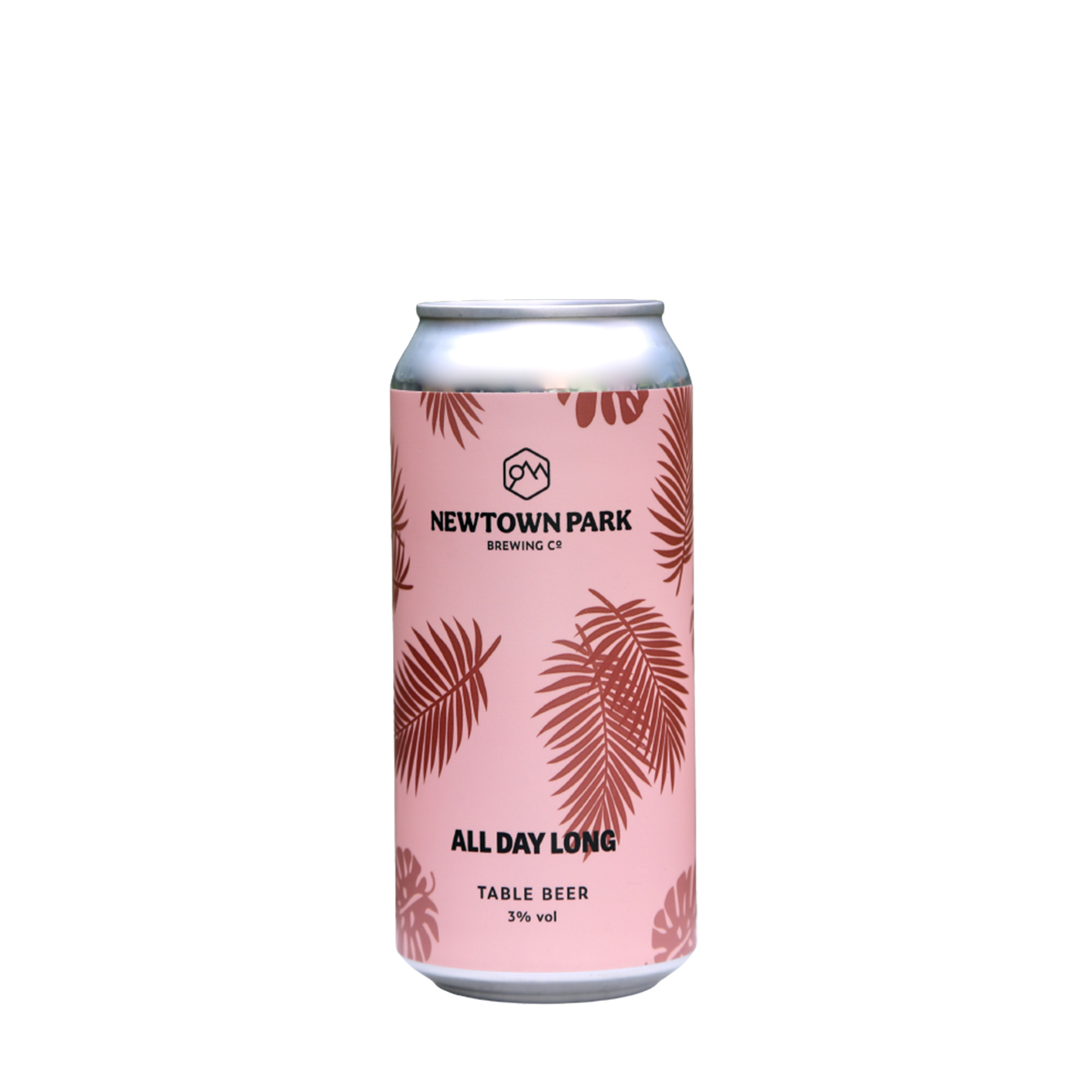 Newtown Park - All Day Long Table Beer