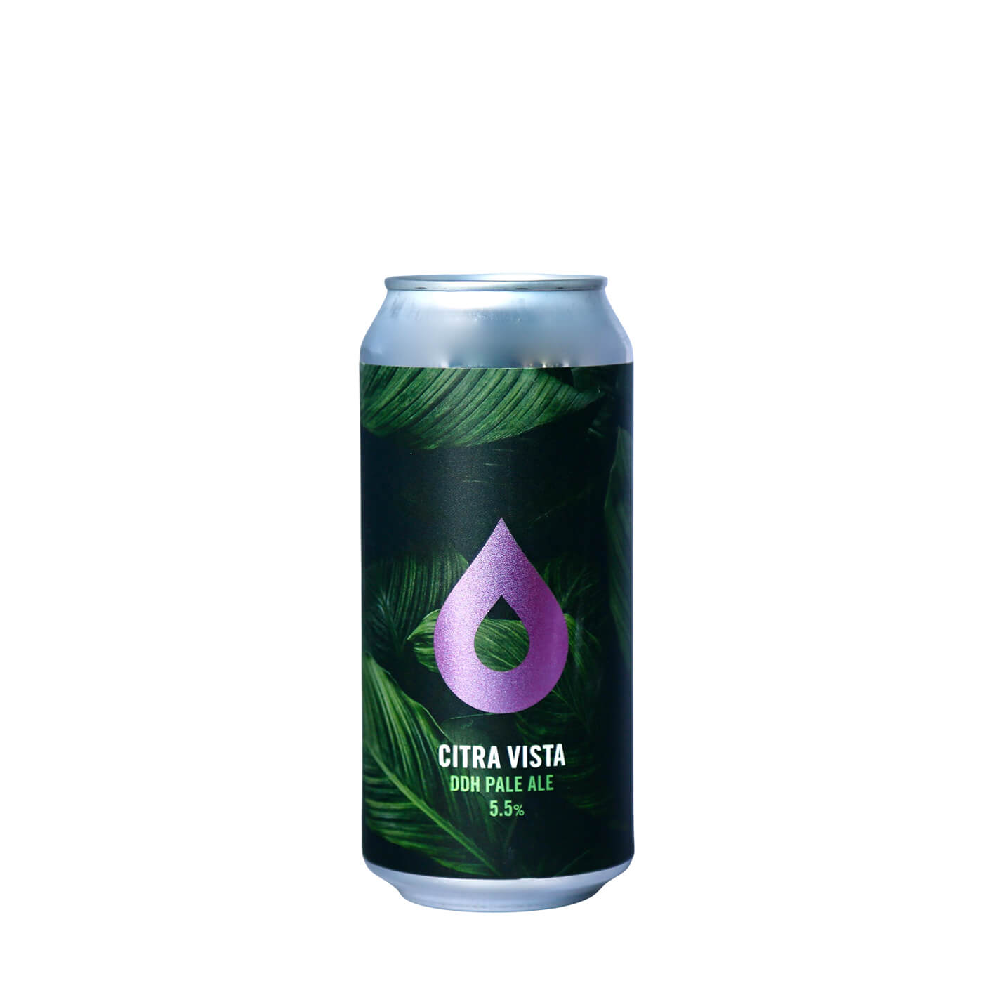 Polly’s Brew Co. – Citra Vista DDH Pale Ale