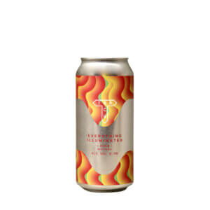 Track – Everyting Illum