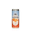 Vault City - Blood Orange Radler