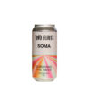 Two Flints | SOMA - Surviving The Time DIPA