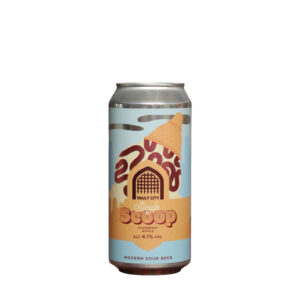 Vault City - Raspberry Ripple: Single Scoop