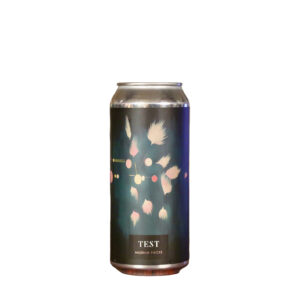 TEST - Museum Pieces I Hazy Pale Ale