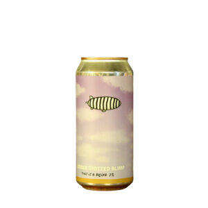 Pretty Decent - Lesser Spotted Blimp NEIPA